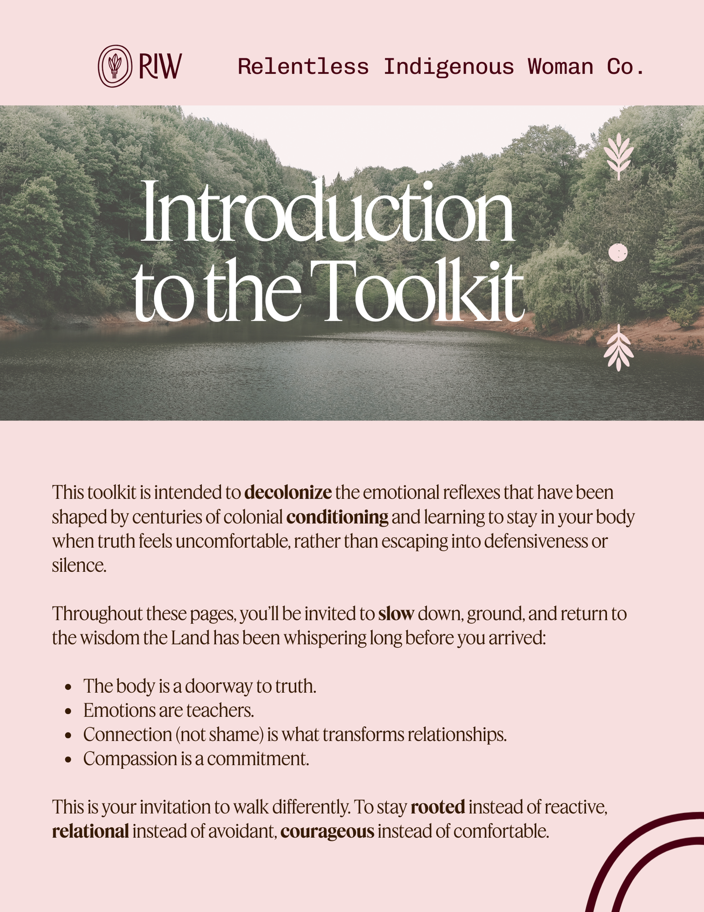 Relentless Indigenous Solidarity Part III: Compassion