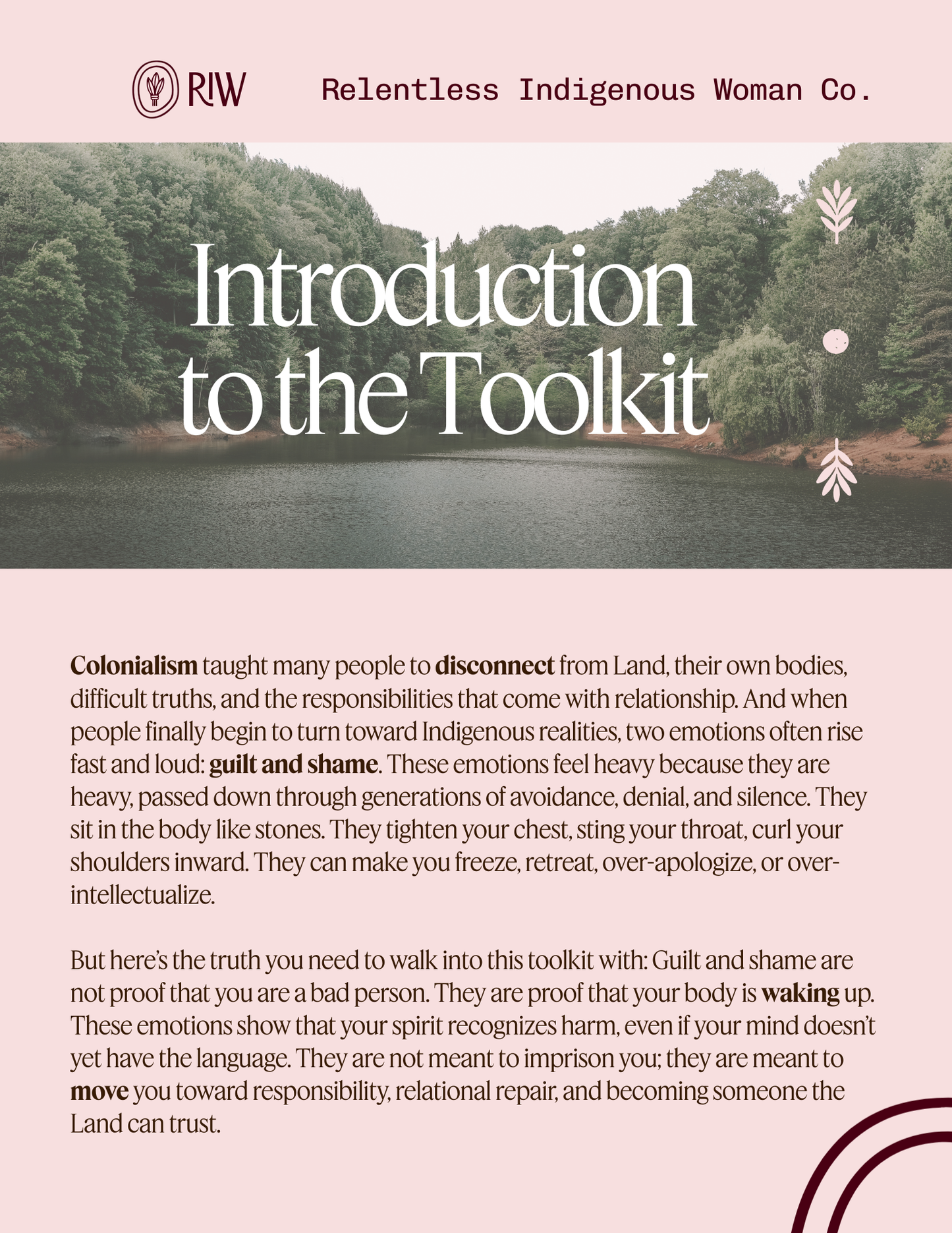 Relentless Indigenous Solidarity Part III: Compassion